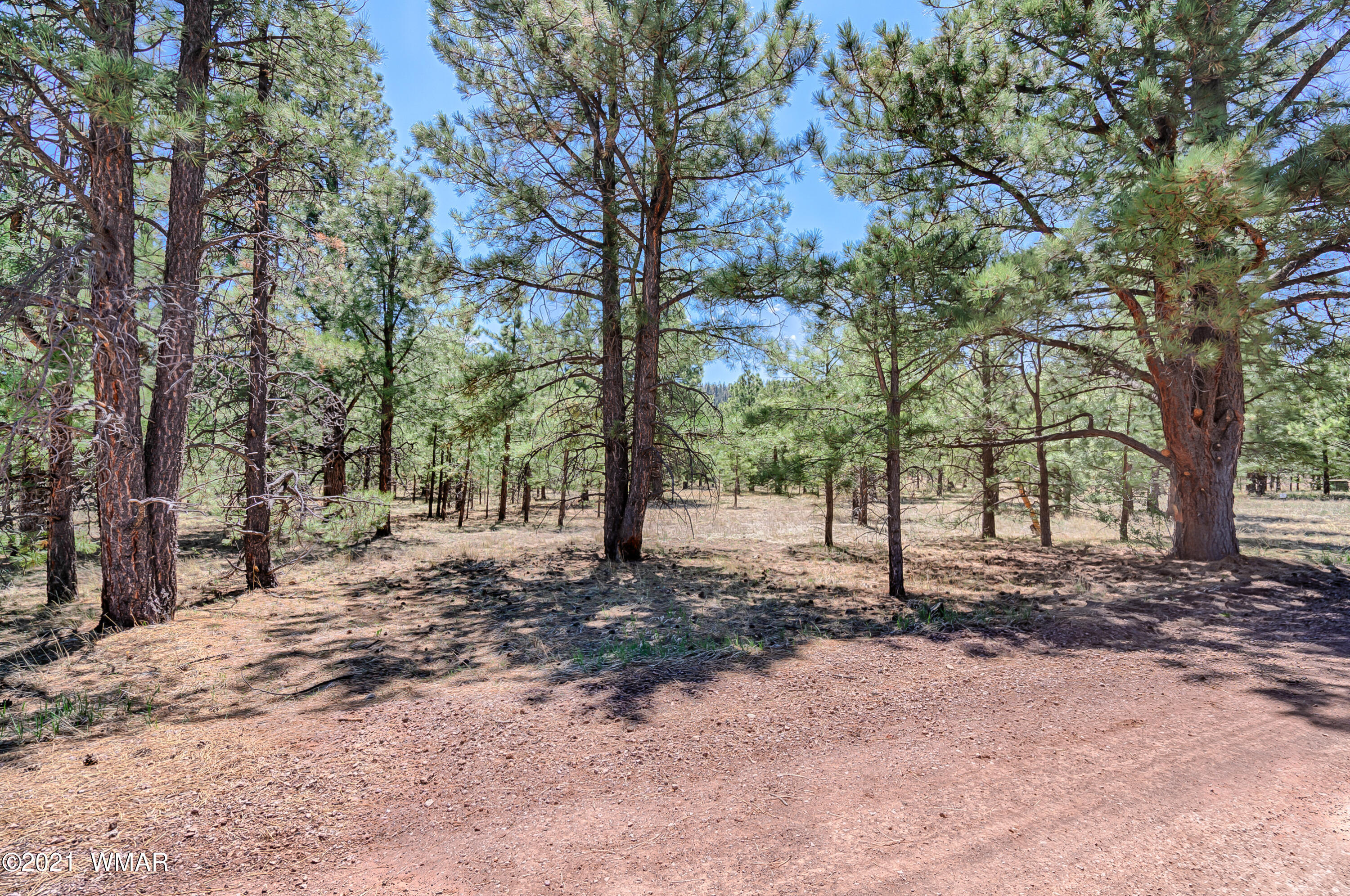 14 N1332 Greer, AZ 85927 - Photo 9 of 13