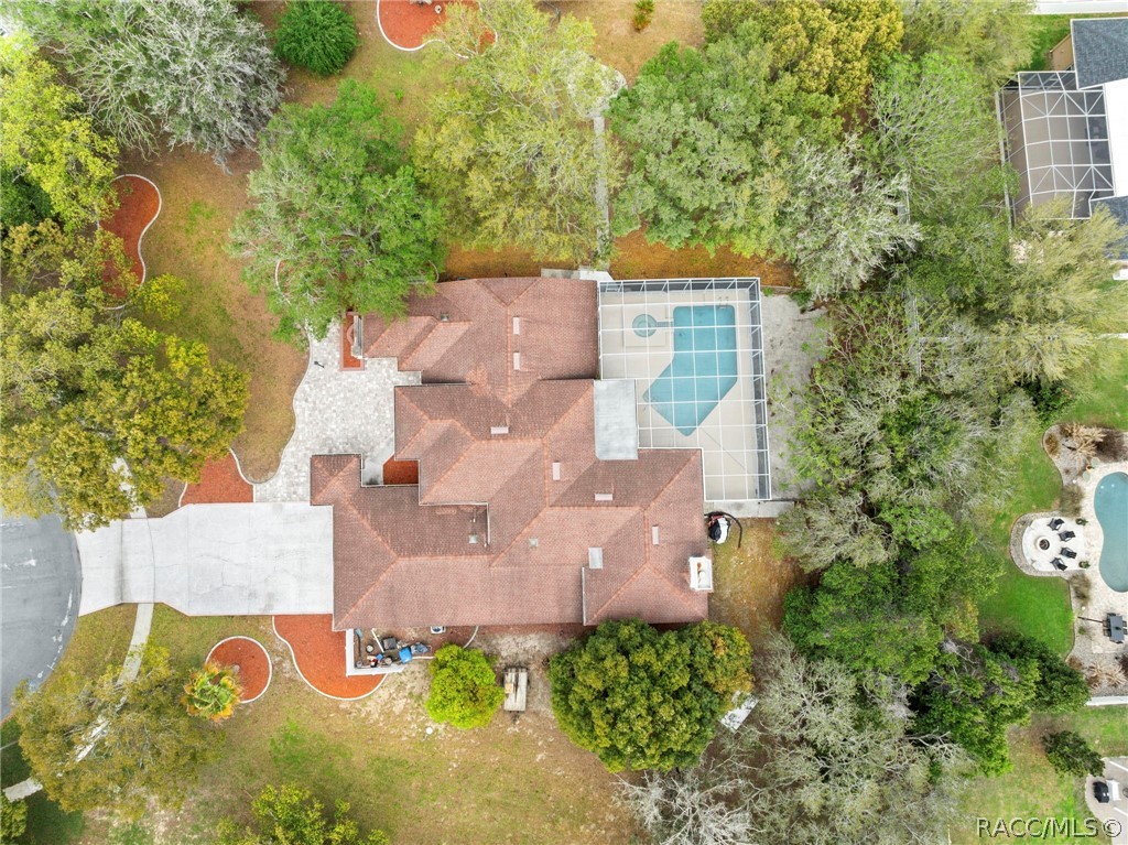 348 Florian Way Spring Hill, FL 34609 - Photo 21 of 56