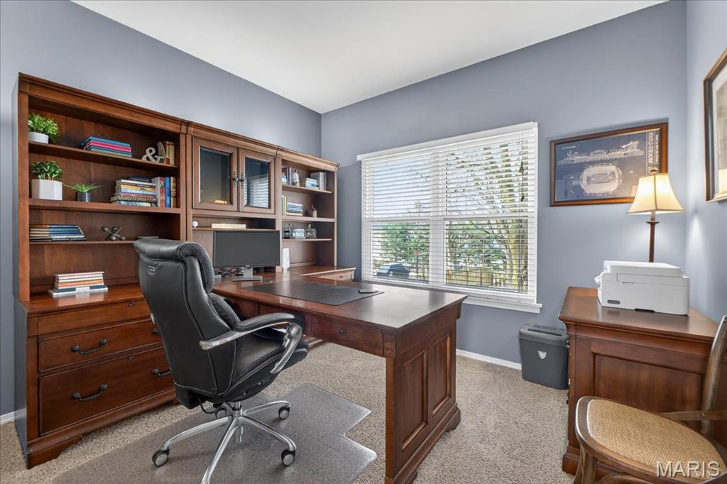 1249 Arbor Bluff Circle Ballwin, MO 63021 - Photo 18 of 33