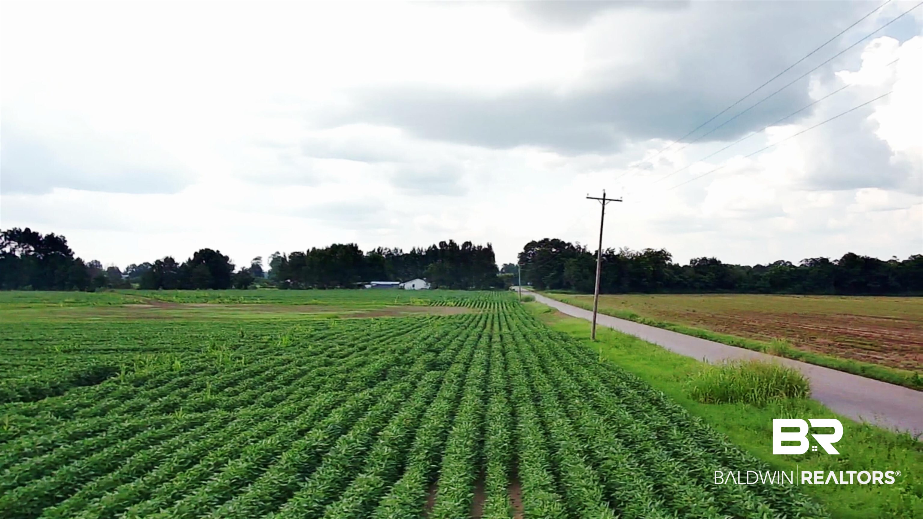 0 Ross Road Atmore, AL 36502 - Photo 11 of 13 Gallery Image 11