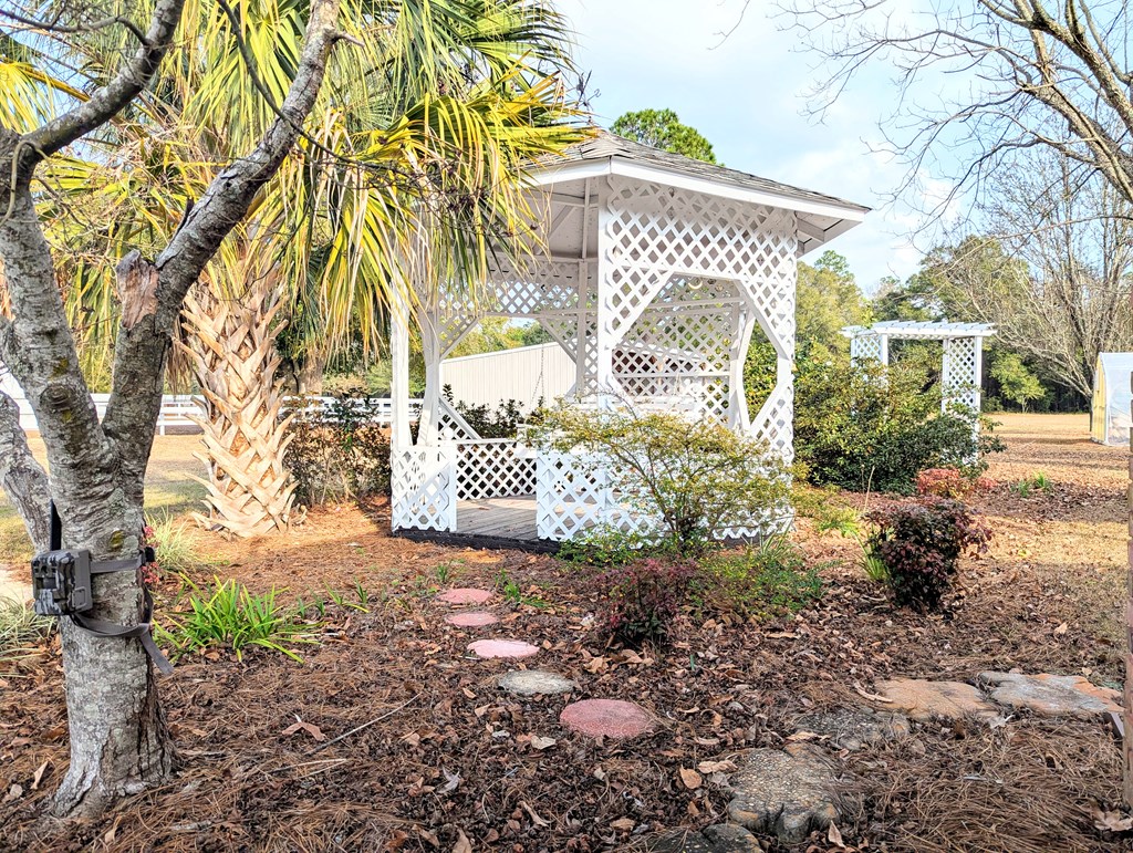 3117 Holland Road Newton, AL 36352 - Photo 42 of 71