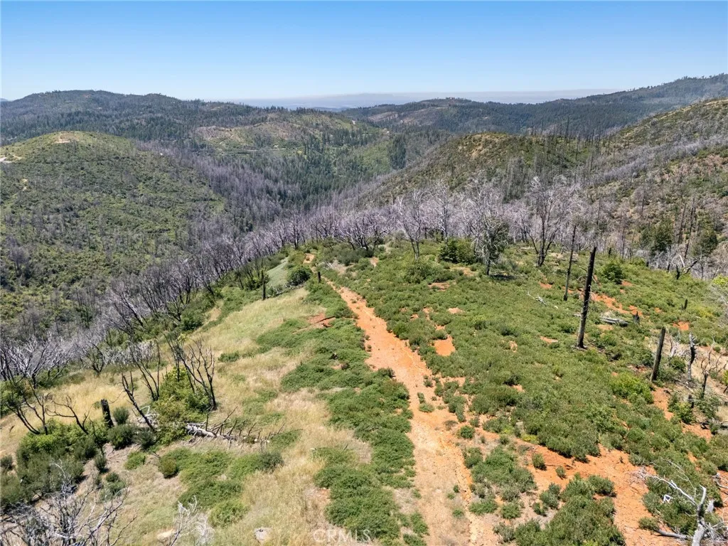 0 Stephens Ridge Road Berry Creek, CA 95916 - Photo 6 of 8