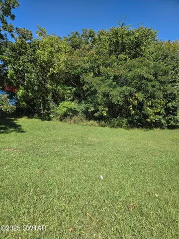 a view of a field with a tree in the background