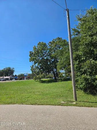 a view of a field with a tree in the background