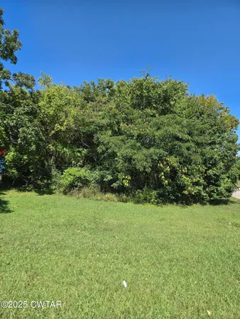 a view of a field with a tree in the background