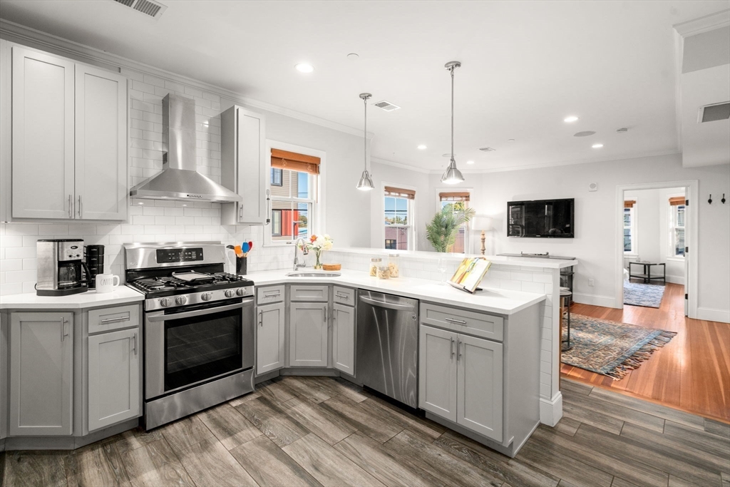 41 Brookley Road, Unit 2 Boston, MA 02130 - Photo 6 of 20 Gallery Image 6