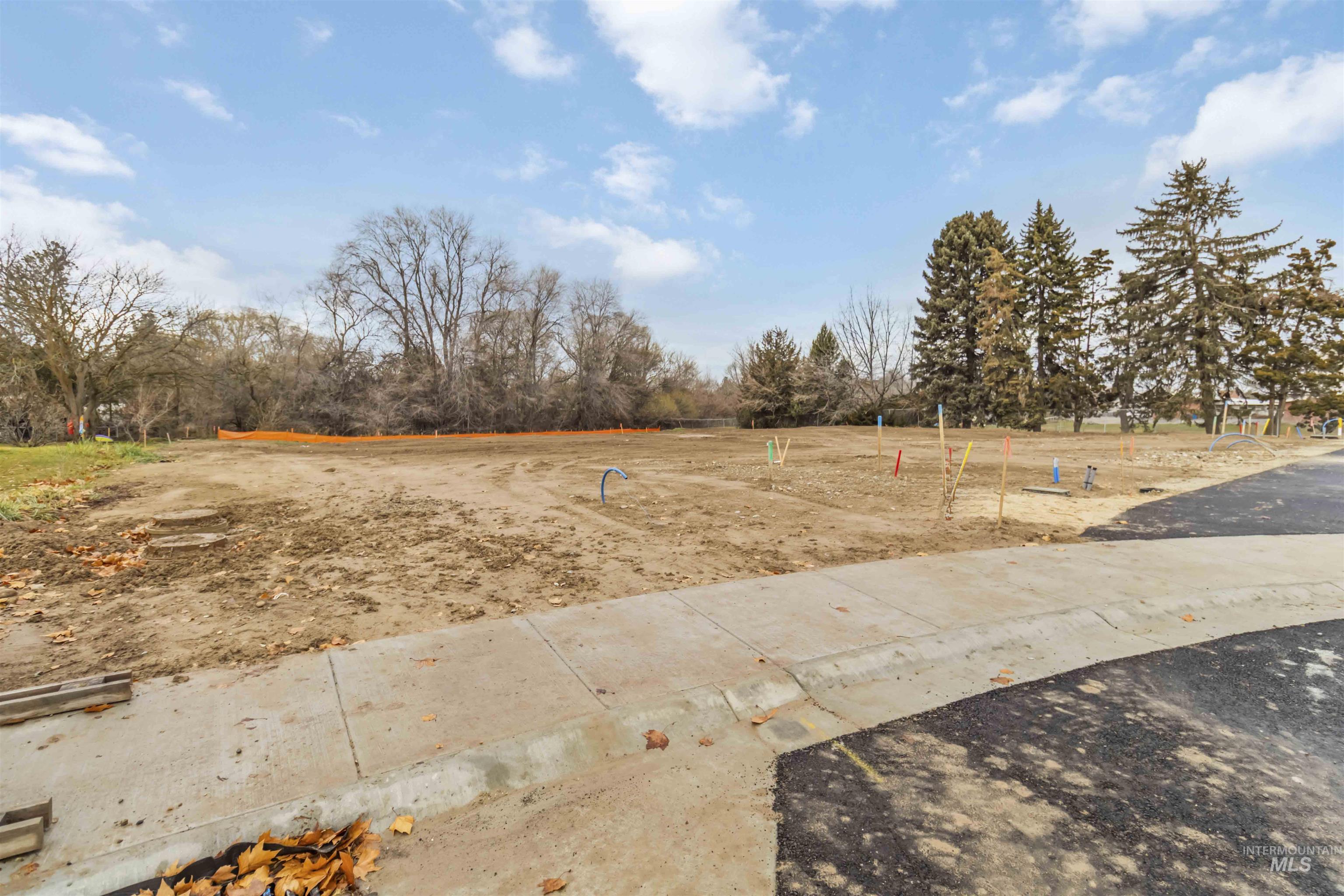 Oregon Avenue Caldwell, ID 83605 - Photo 24 of 42 View of yard