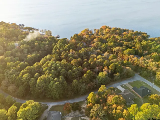 a view of a yard with plants and trees