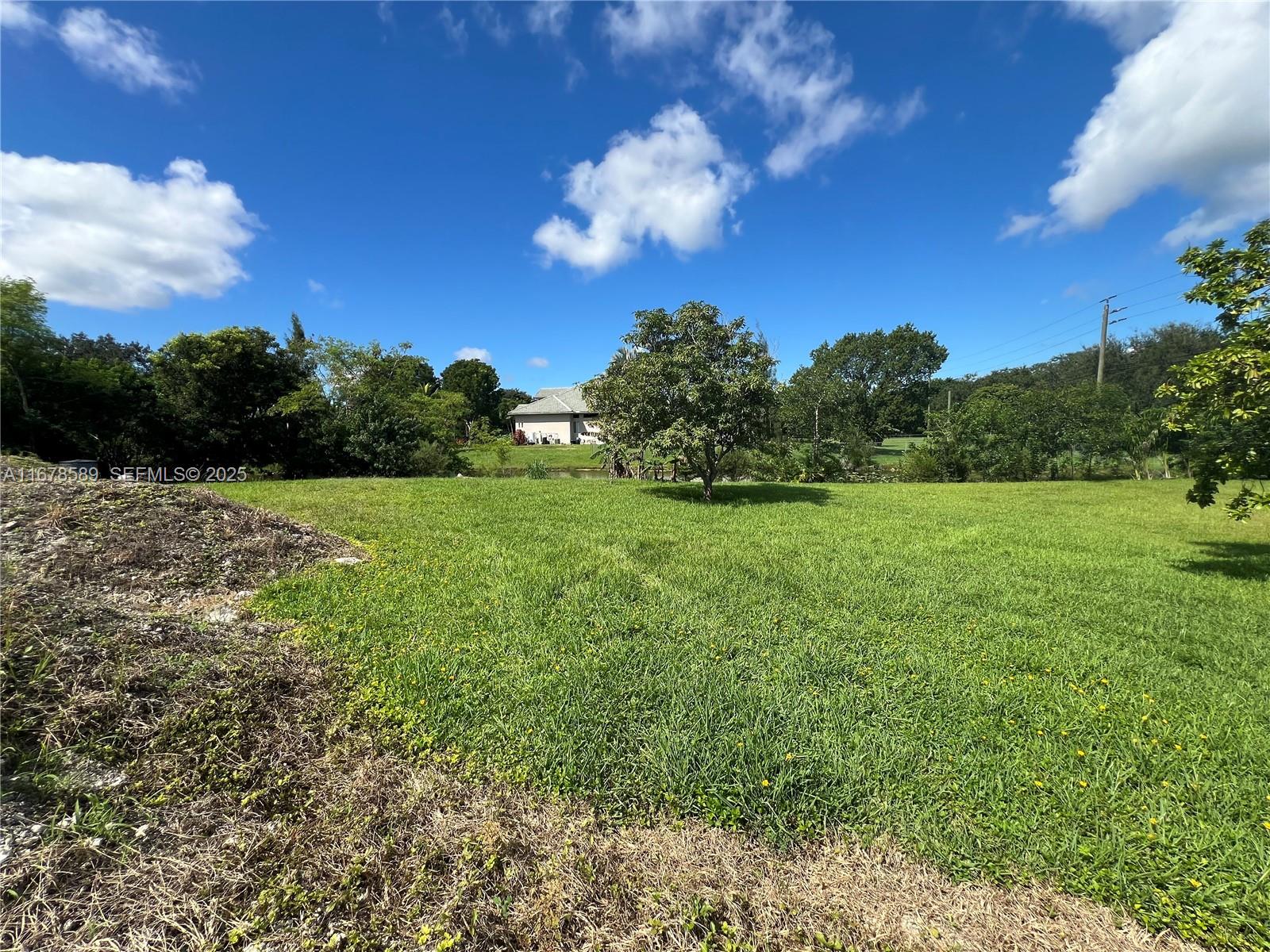 20321 Southwest 48th Street Southwest Ranches, FL 33332 - Photo 23 of 46 a view of a garden with a tree in the background