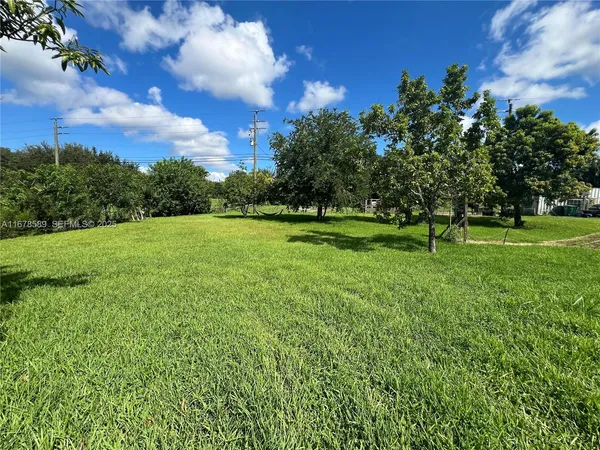 a view of a trees with a big yard