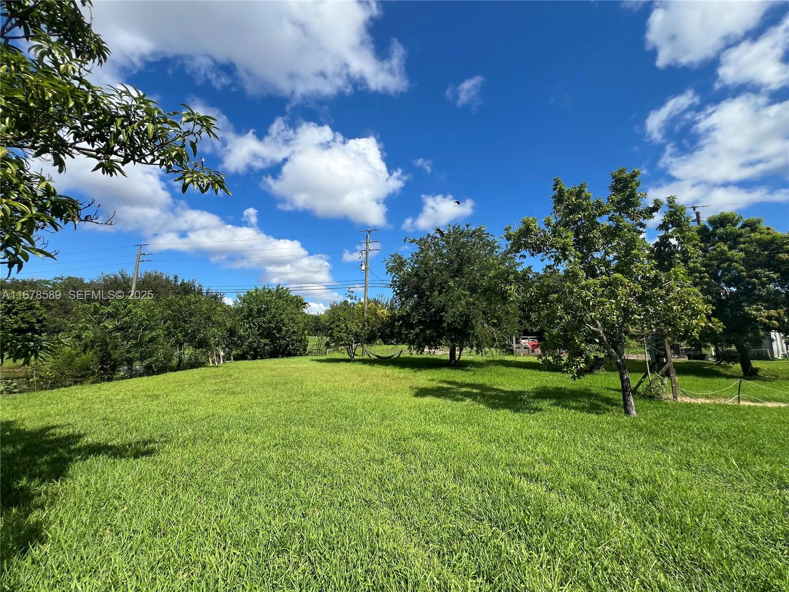 20321 Southwest 48th Street Southwest Ranches, FL 33332 - Photo 25 of 46 a view of a trees with a big yard
