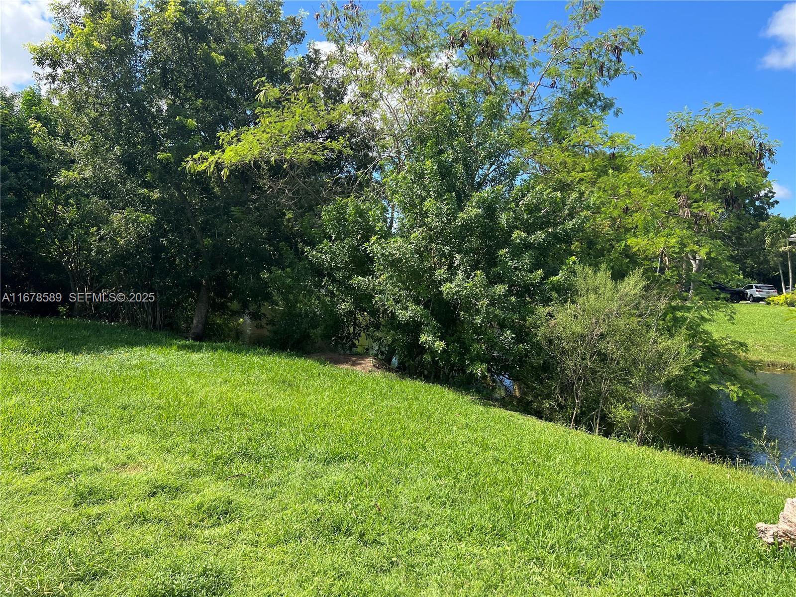 20321 Southwest 48th Street Southwest Ranches, FL 33332 - Photo 26 of 46 a view of an outdoor space and a yard