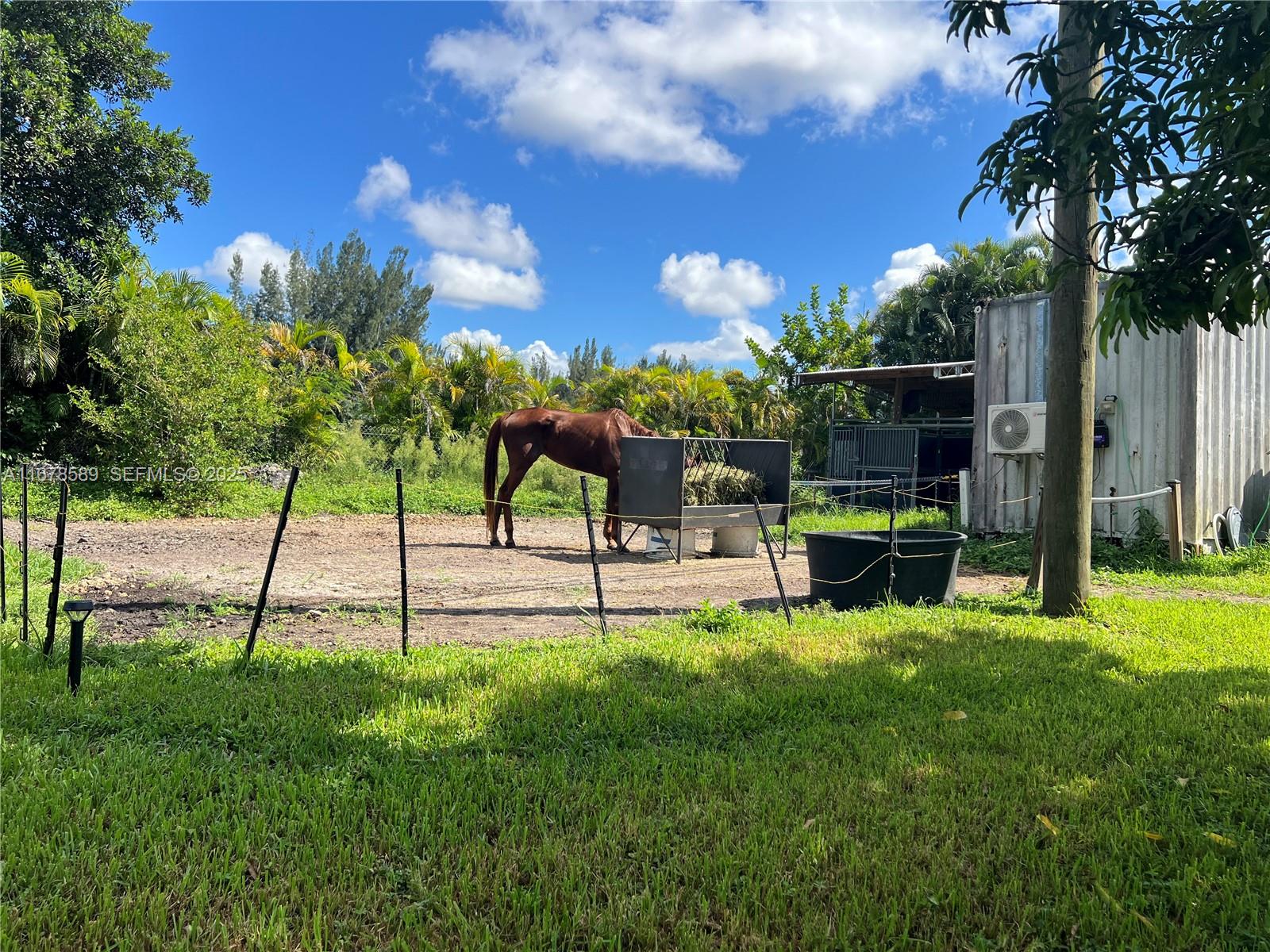 20321 Southwest 48th Street Southwest Ranches, FL 33332 - Photo 30 of 46 a view of a chairs and table with swimming pool in the back yard