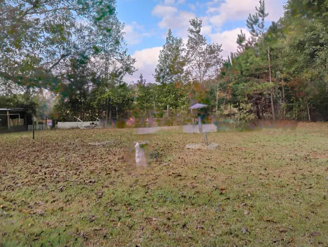a view of a yard with large trees