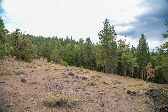 a view of a covered with snow on the road