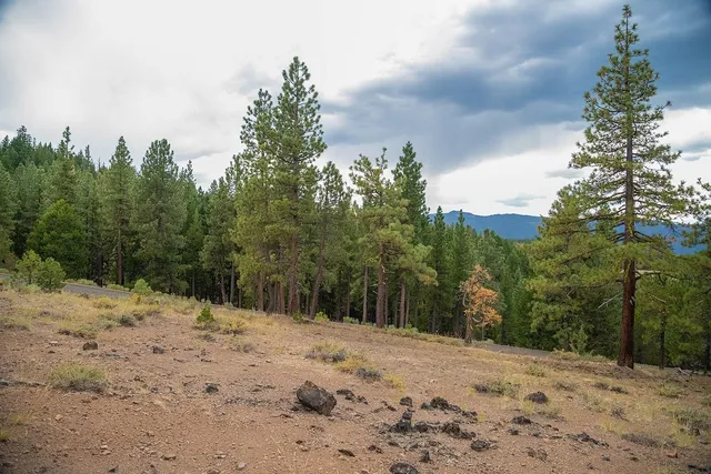 a view of a snow on a field
