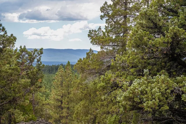 a view of a yard and mountain