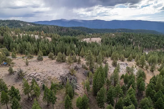 a view of a city with lush green forest