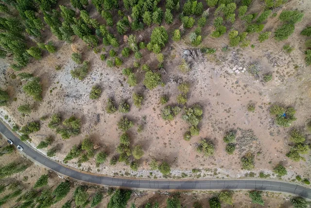 a view of a wooden floor with a pot