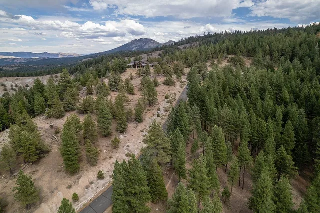 a view of a city with lush green forest