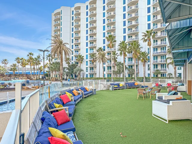 a view of a park with a tree