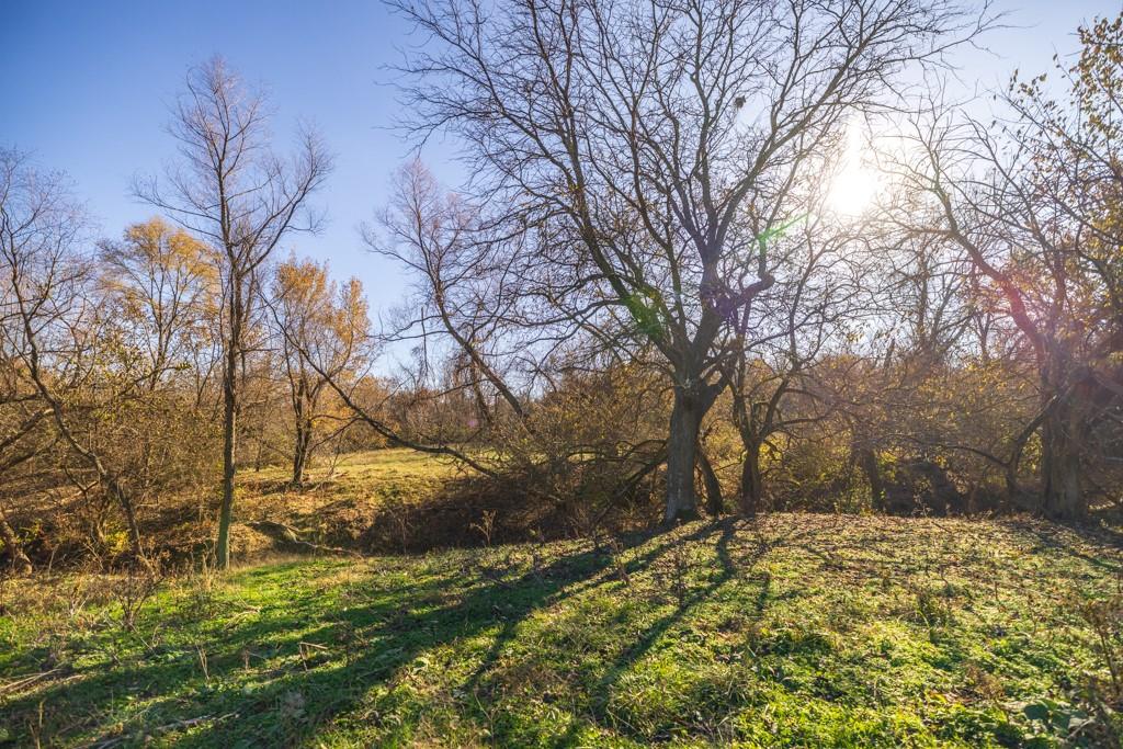 5 West Ryan Road Grain Valley, MO 64029 - Photo 17 of 25