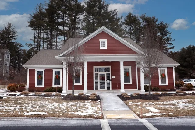 a living room with furniture potted plant and a large window