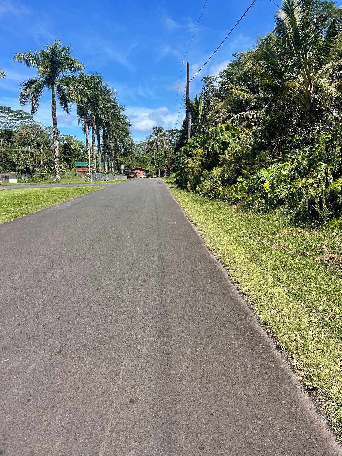 2 Manini Street Pahoa, HI 96778 - Photo 2 of 5 a view of a road with a garden