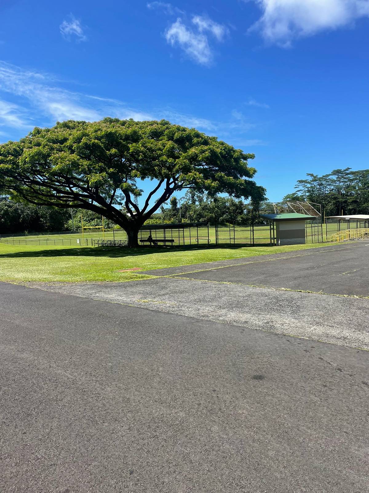 2 Manini Street Pahoa, HI 96778 - Photo 3 of 5 a view of a field of grass and trees