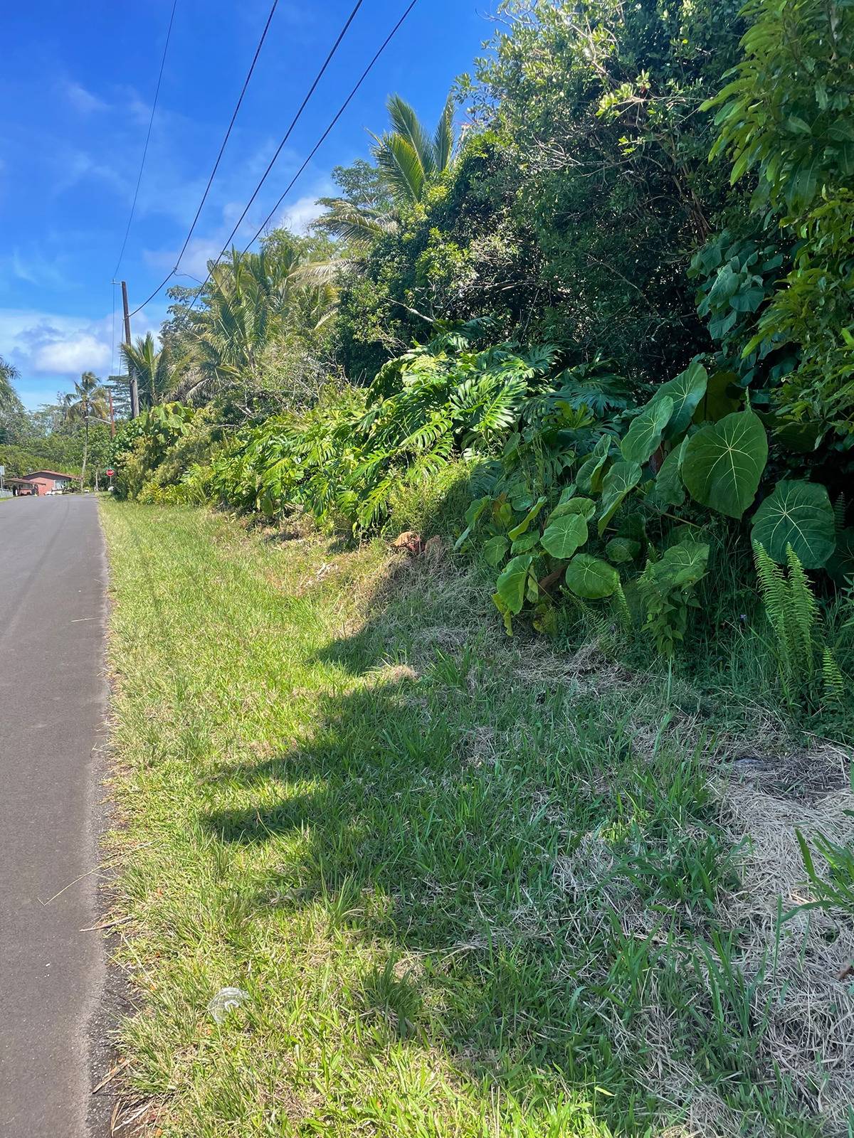 2 Manini Street Pahoa, HI 96778 - Photo 5 of 5 a view of a garden