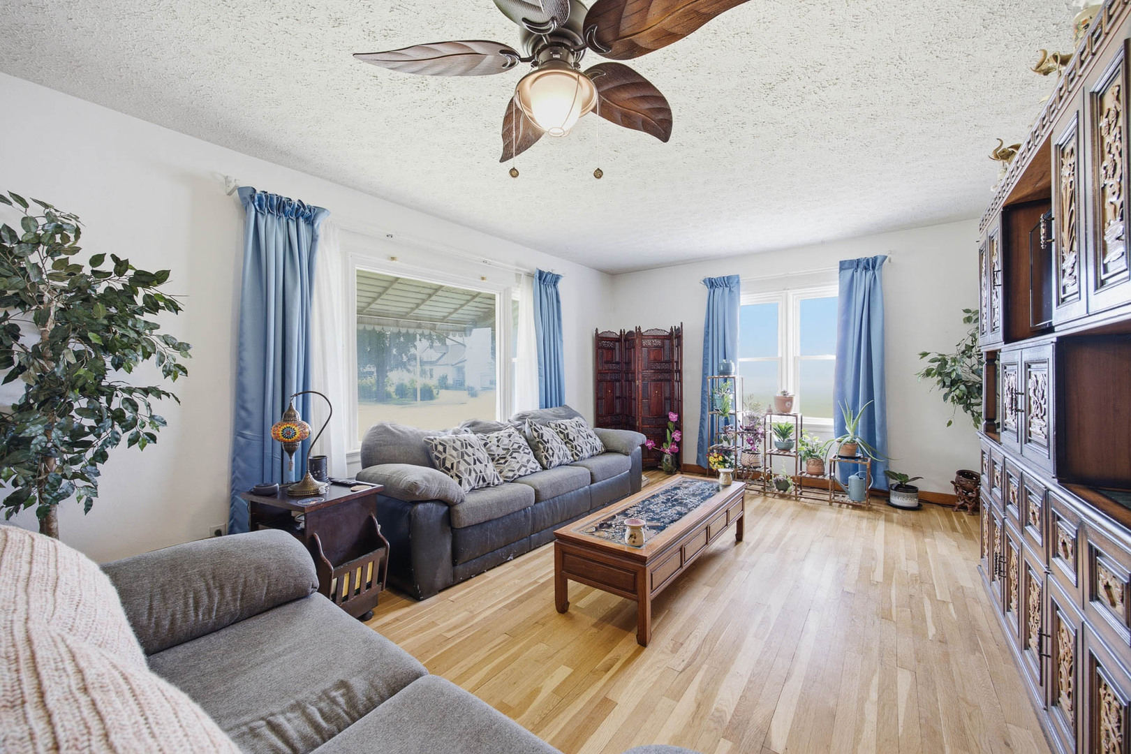 209 South Broadway Hoffman, IL 62250 - Photo 7 of 59
