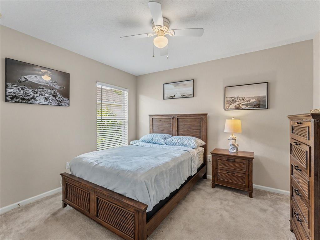 5746 Riva Ridge Drive Wesley Chapel, FL 33544 - Photo 40 of 51 Gallery Image 40