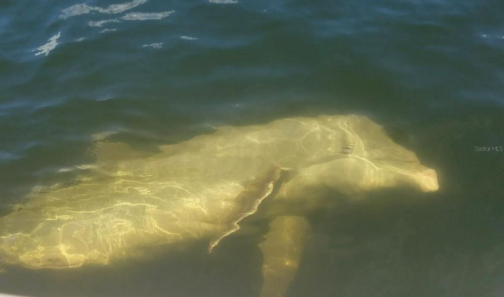 184 Colony Point Drive Punta Gorda, FL 33950 - Photo 47 of 58