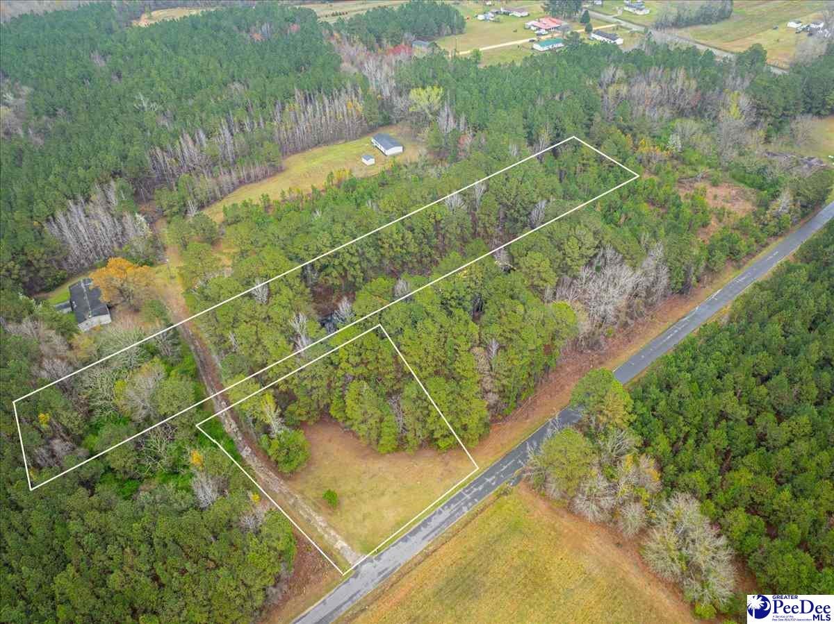Tbd Ballpark Road Effingham, SC 29541 - Photo 1 of 7 Gallery Image 1