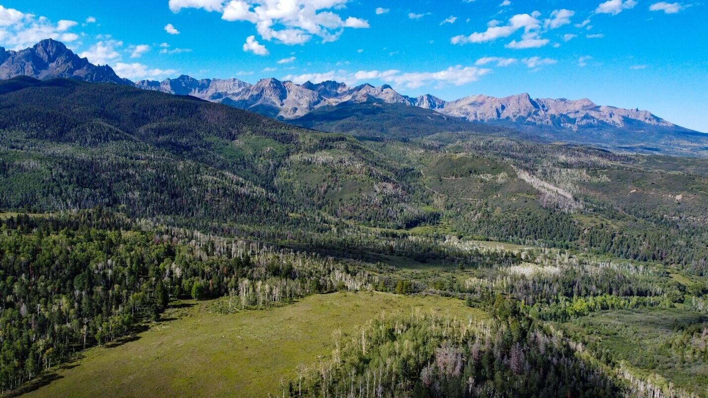 9757 Co Rd 5 Ridgway, CO 81432 - Photo 13 of 15 Picture15