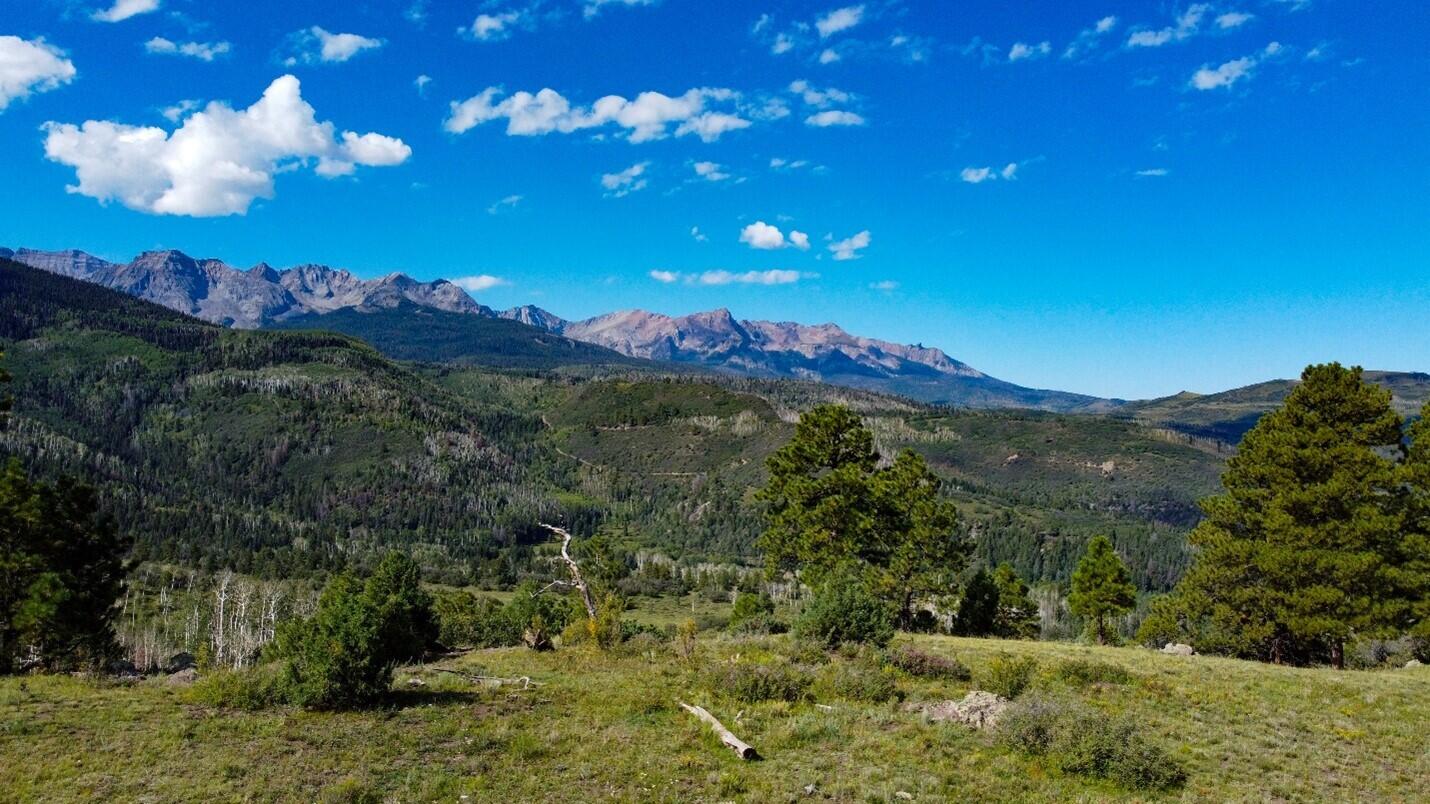 9757 Co Rd 5 Ridgway, CO 81432 - Photo 15 of 15 Picture17