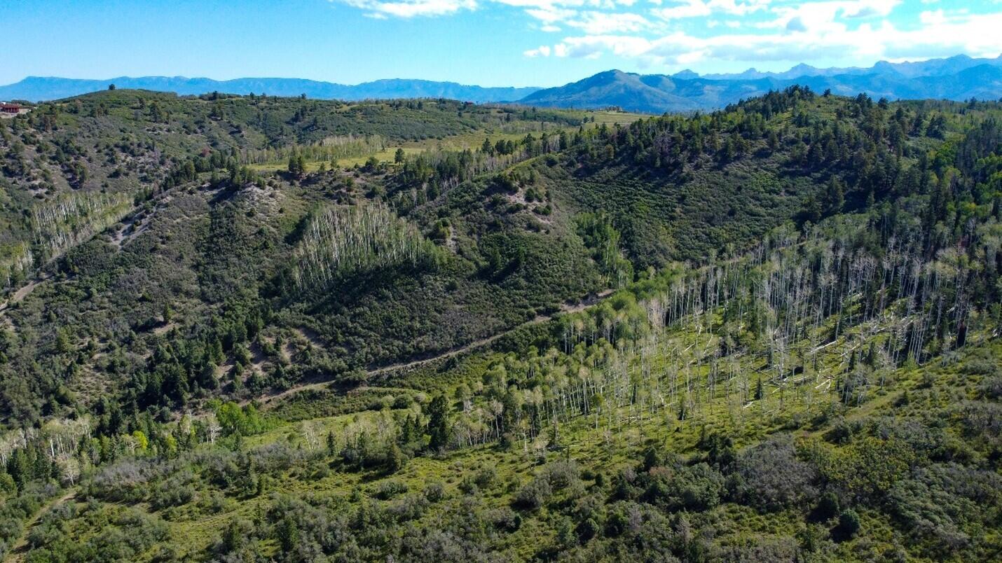 9757 Co Rd 5 Ridgway, CO 81432 - Photo 6 of 15 Picture8