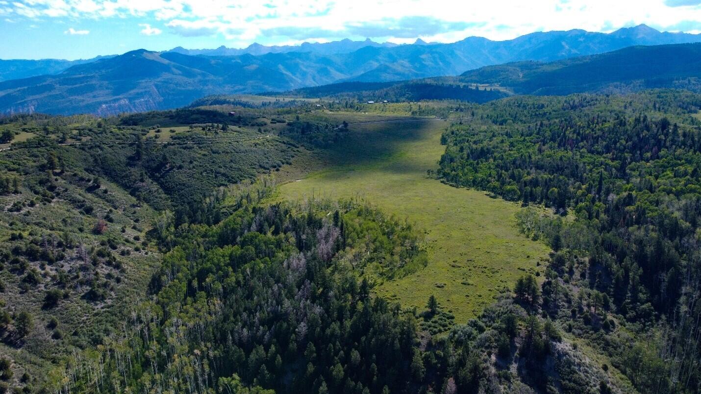 9757 Co Rd 5 Ridgway, CO 81432 - Photo 8 of 15 Picture10