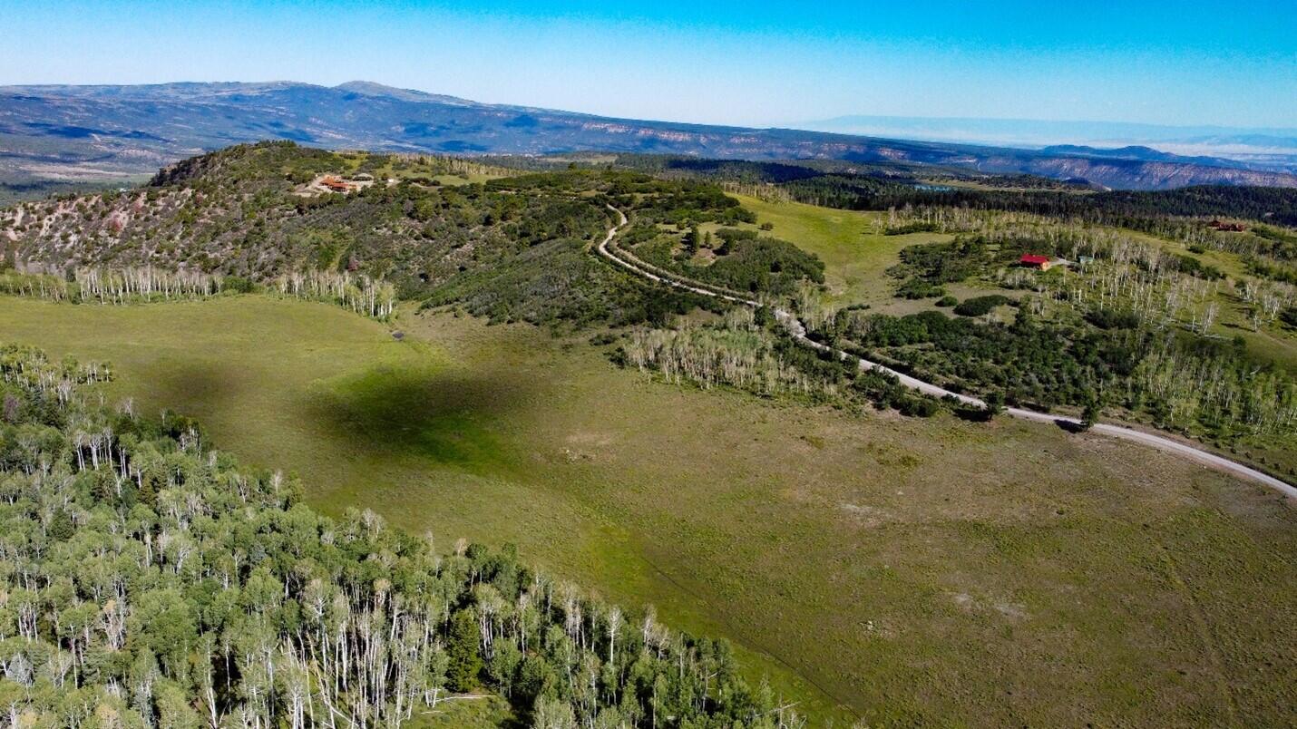 9757 Co Rd 5 Ridgway, CO 81432 - Photo 9 of 15 Picture11