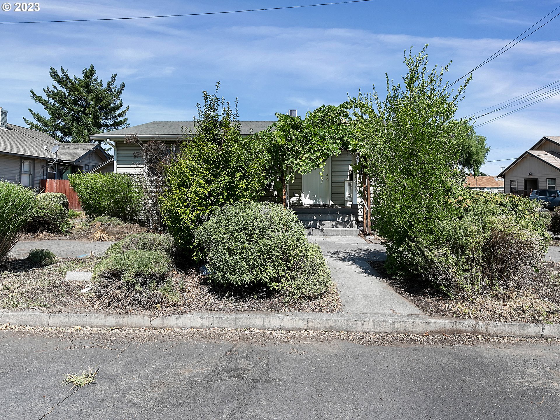 201 Southwest Hailey Avenue Pendleton, OR 97801 - Photo 32 of 35 a plant is in front of a house