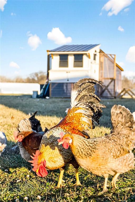 5199 Southeast Fox Run Road Lathrop, MO 64465 - Photo 64 of 69