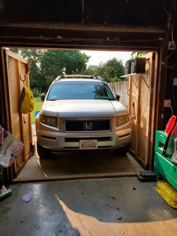 a view of a garden with plants