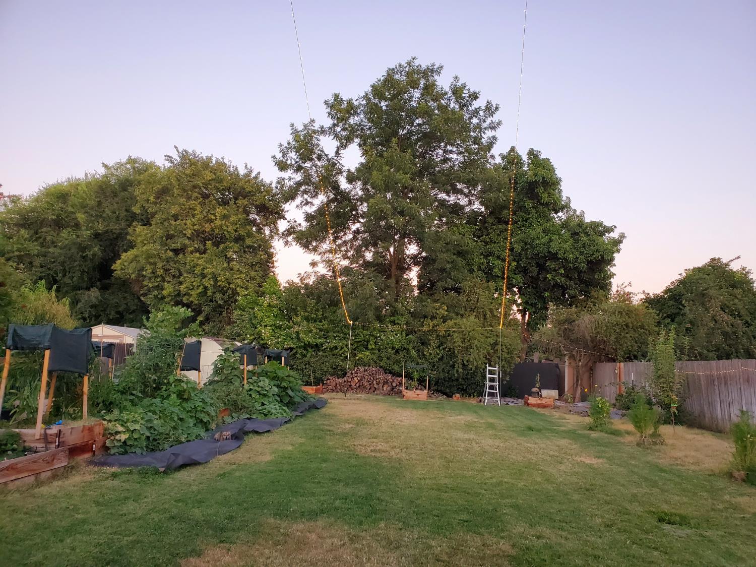 994 Fleda Avenue Olivehurst, CA 95961 - Photo 20 of 20 a view of a backyard with large trees