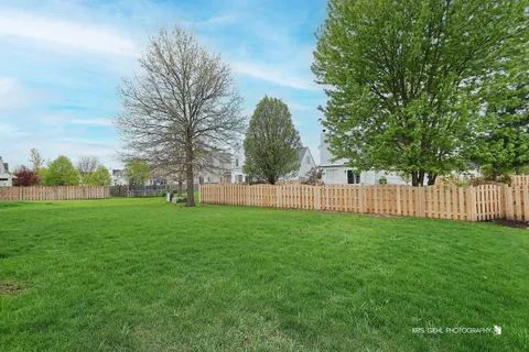 a view of a yard with a large trees