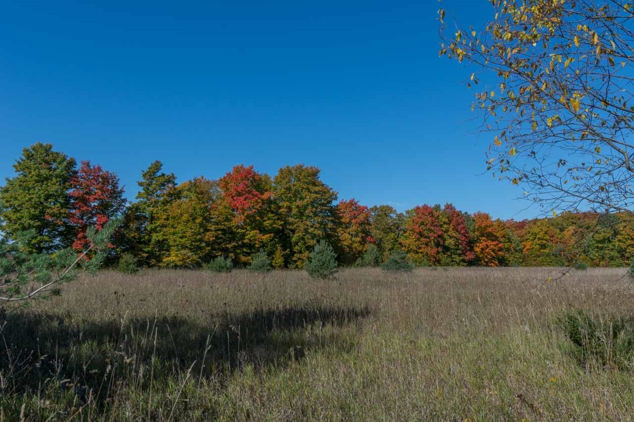 0 South Fritz Road, Unit LOT: B Maple City, MI 49664 - Photo 15 of 17 Gallery Image 15