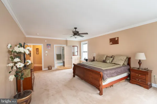 a living room with a bed furniture and a large window