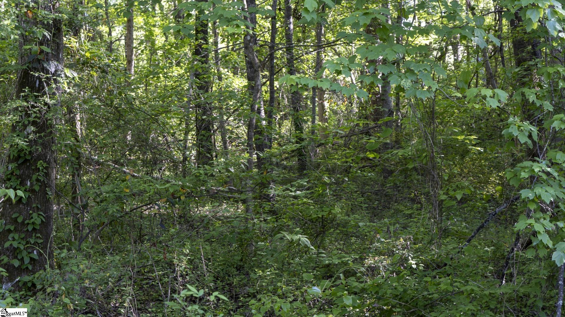 0 Botany Slopes Road Piedmont, SC 29673 - Photo 8 of 44