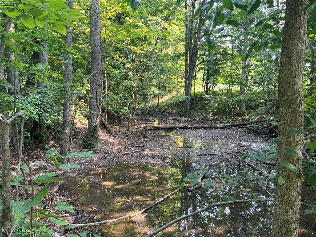 Vl Shaw Road Spencer, OH 44275 - Photo 14 of 28 View of local wilderness with a water view
