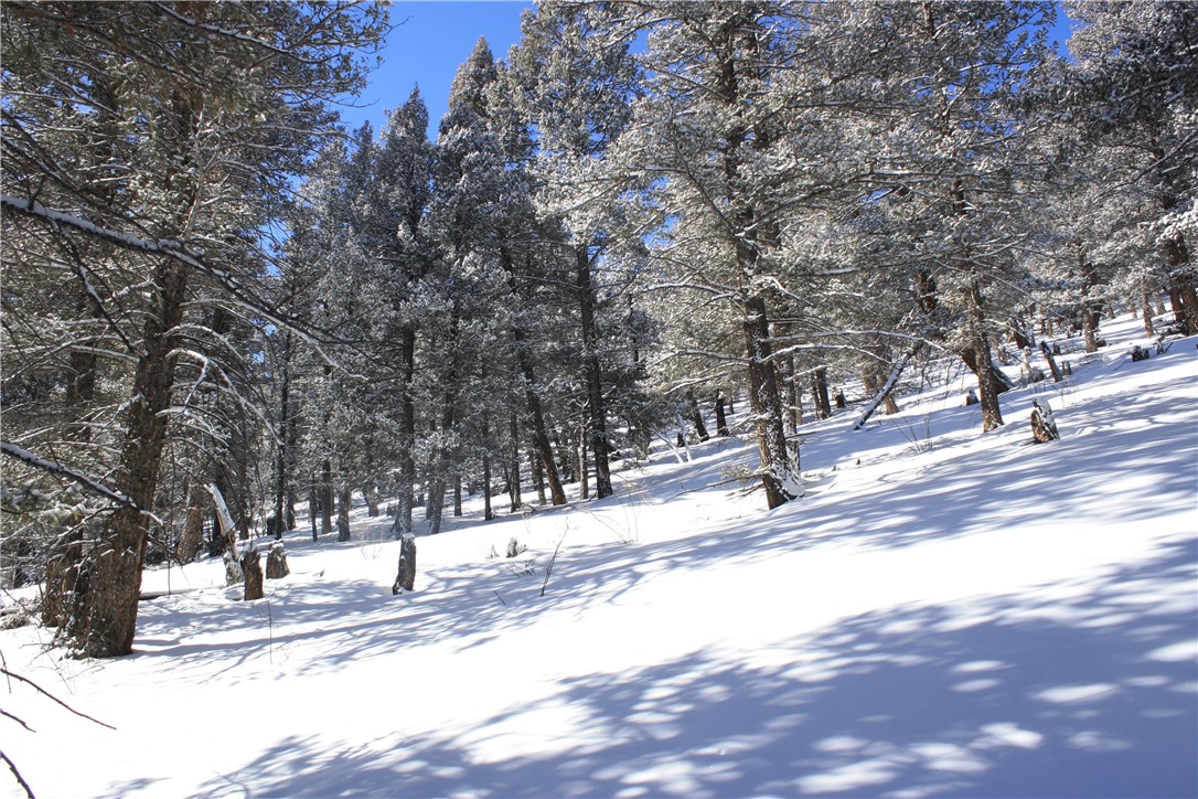 3041 Redhill Road Fairplay, CO 80440 - Photo 14 of 23 Gallery Image 14