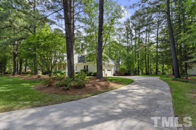 a view of a street with a large trees